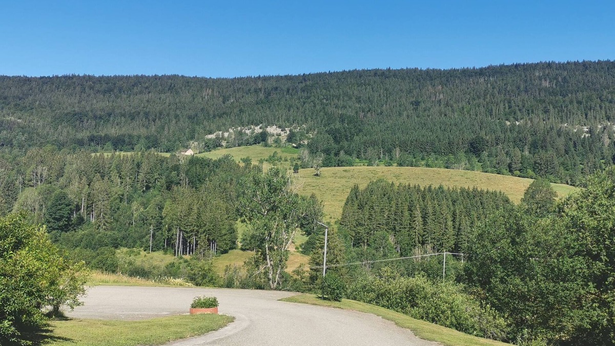 Mijoux Apartment | Charming mountain apartment with balcony.