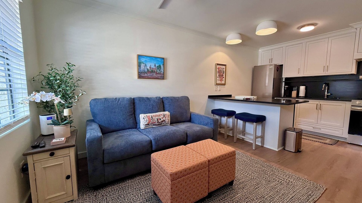 Auburn Condo | Charming, Newly Renovated Samford Ave. Condo in Downtown Auburn!