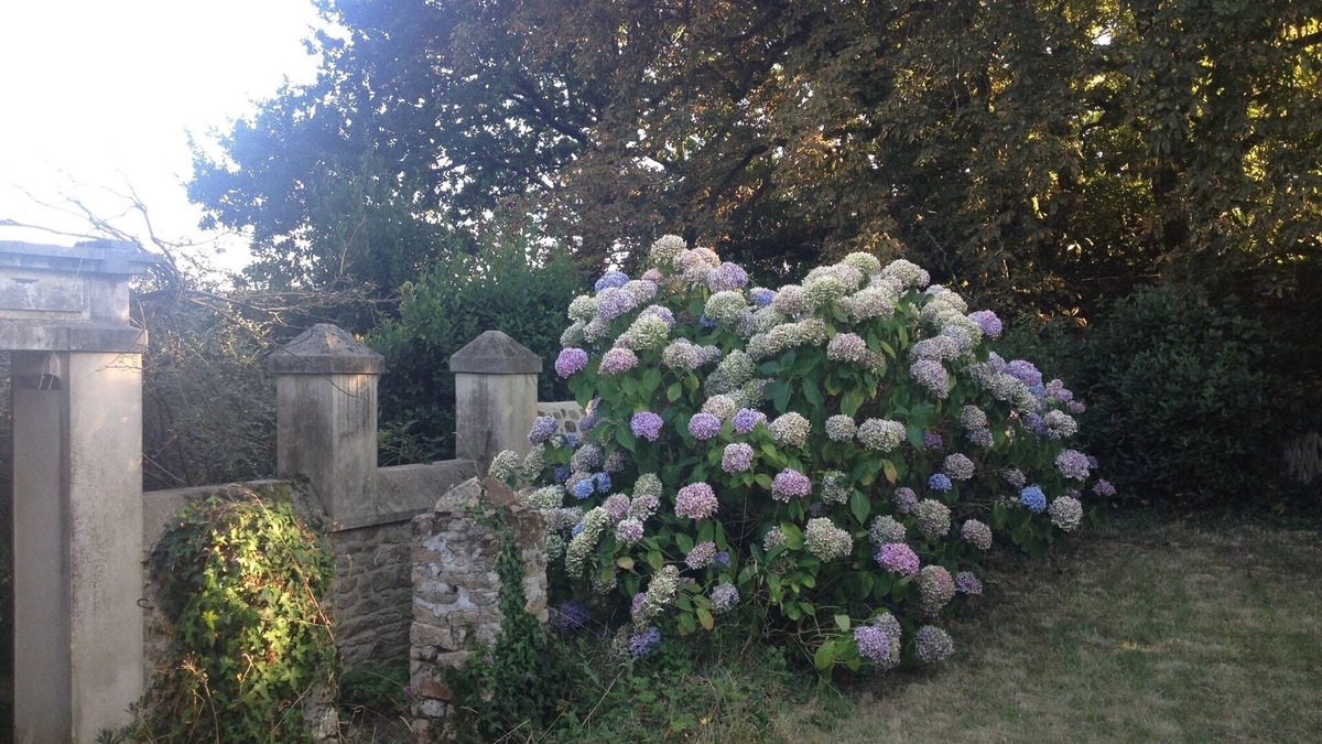 Arradon House | Charming old quiet house with garden - Village and sea on foot