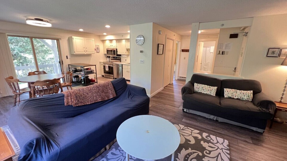 Bromley Mountain Condo | Charming One-Bedroom Condo on Bromley Mountain