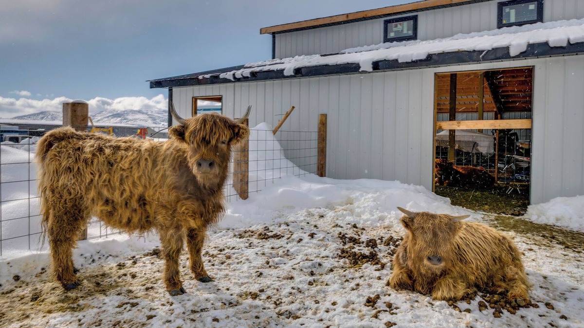 Peoa House | Charming Peoa Casita w/Mountain Views