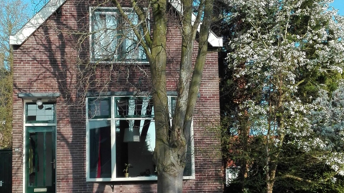 Boskoop House | Charming pictoresque house with garden in quiet area, including cat care.