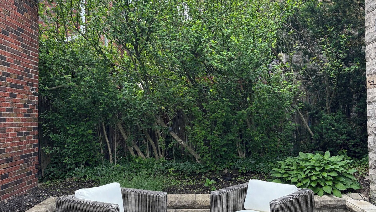 Dormont House | Charming Pittsburgh Getaway - Private Home - 2 Beds