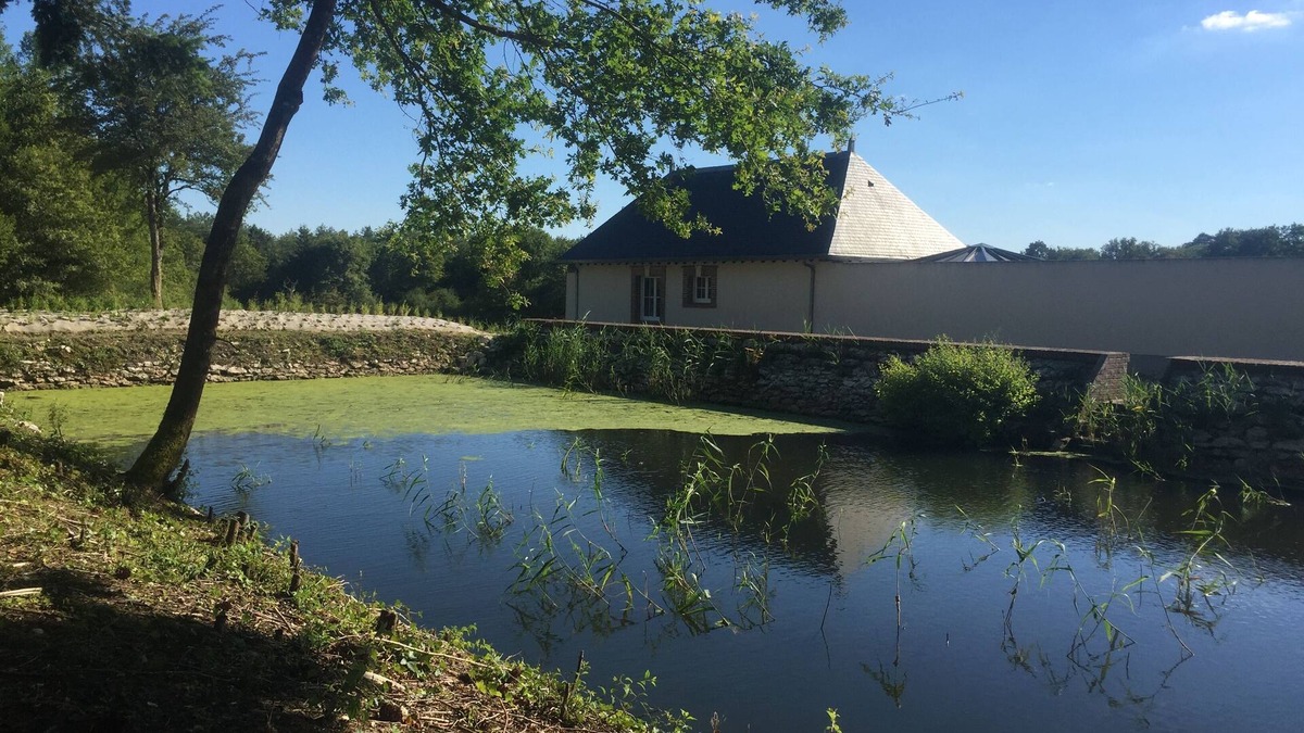 Vouzeron House | Charming "Potager 2" bungalow in Sologne in a relaxing forest setting