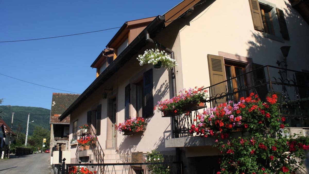 Wuenheim Cottage | Charming quiet house in a wine village. Charming house in