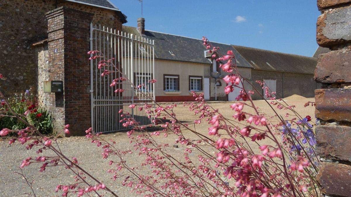 Challet Cottage | Charming Rural Retreat: Modern Comfort in Historic Challet