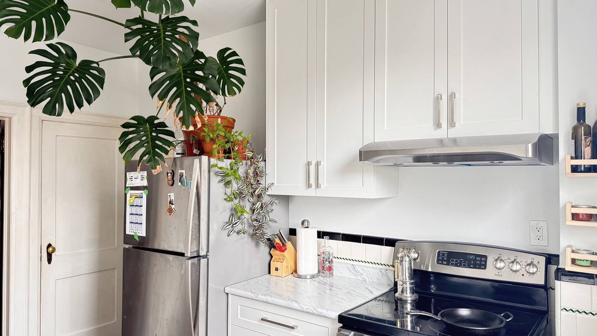 Trinity - Bellwoods House | Charming semi in the heart of Queen West