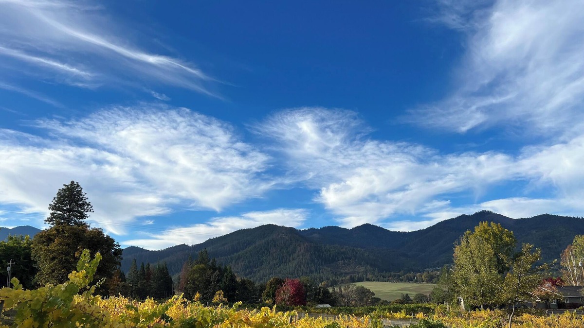 Talent Apartment | Charming stay at Little Hooves Farm & Vineyard