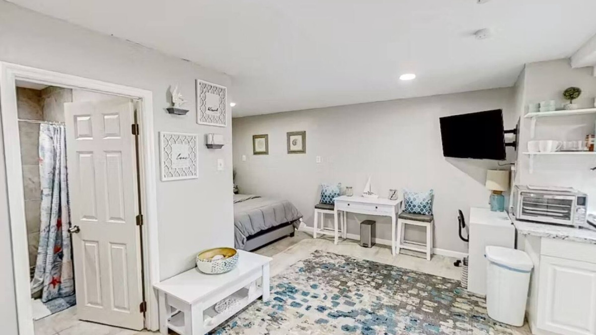 University Apartment | Charming studio Close to Bush Gardens and USF
