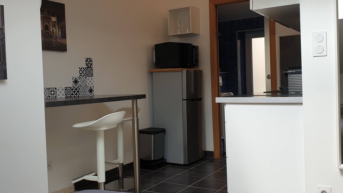 Saint Nicolas - Charles III - Ville vieille - Trois Maisons - Leopold Apartment | charming studio in quiet city center