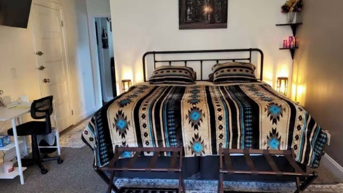 North Collins Apartment | Charming studio with WiFi and AC in enchanting North Collins