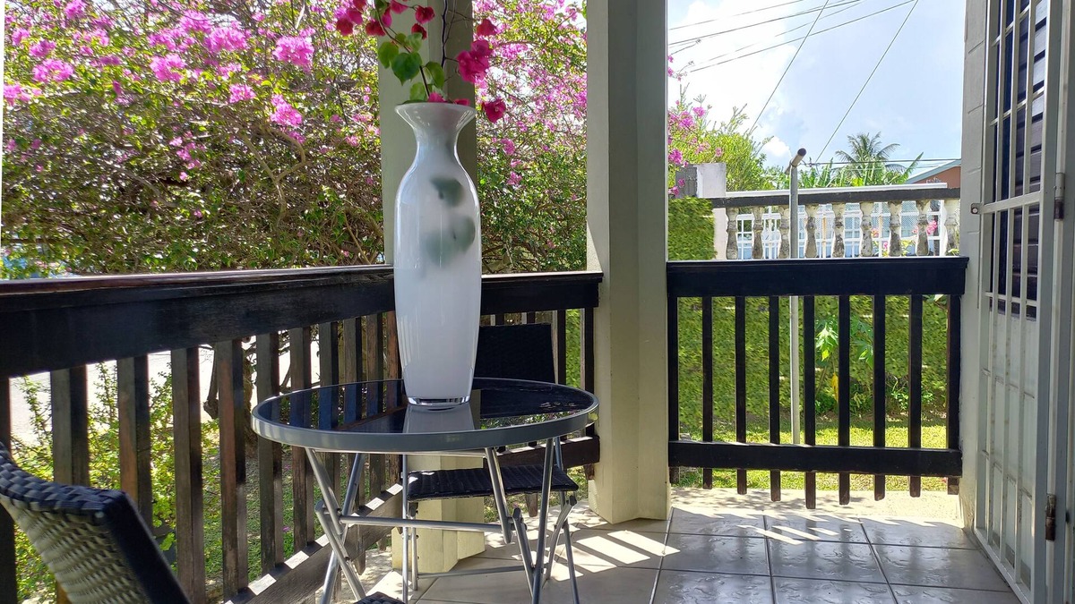 Lowlands Apartment | Charming Studio with Free WiFi, Near Beaches