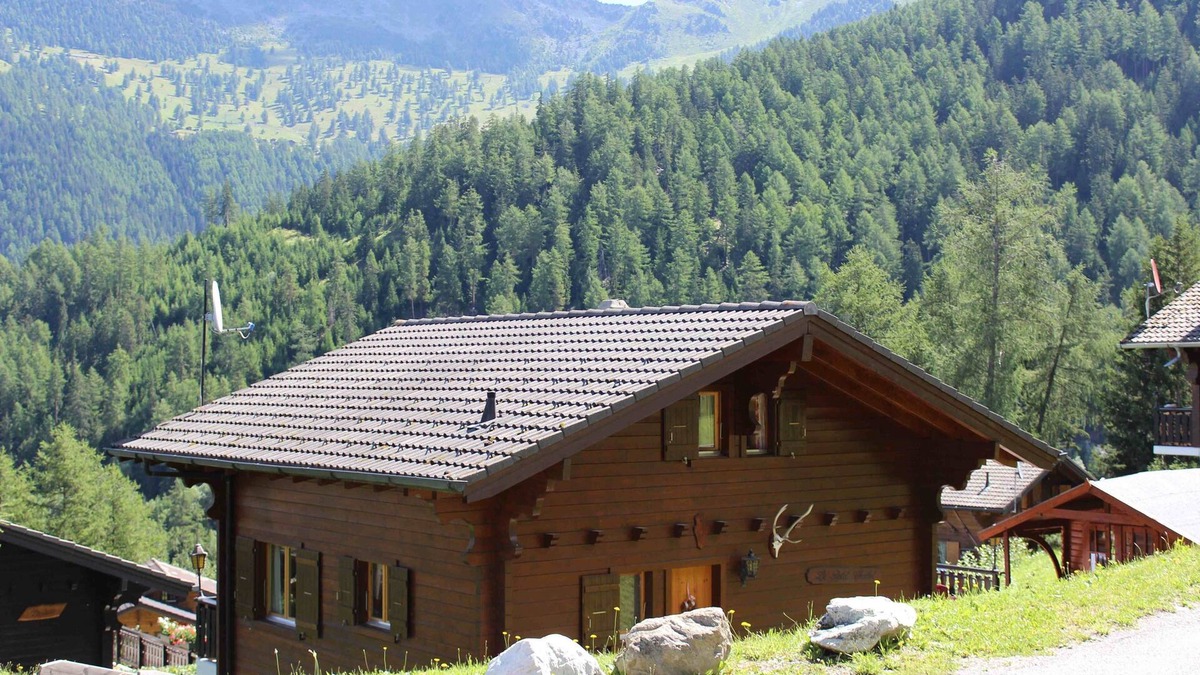Riddes Ski Chalet | Charming Swiss Chalet, Terrace, Sauna, Log Fire, Parking,