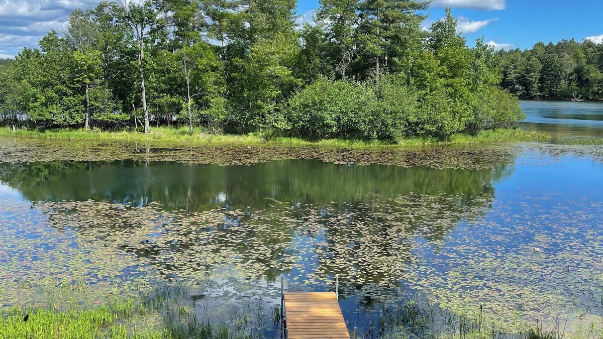 Arbor Vitae Cabin | Charming Up North Waterfront Cabin with Stunning Island Views