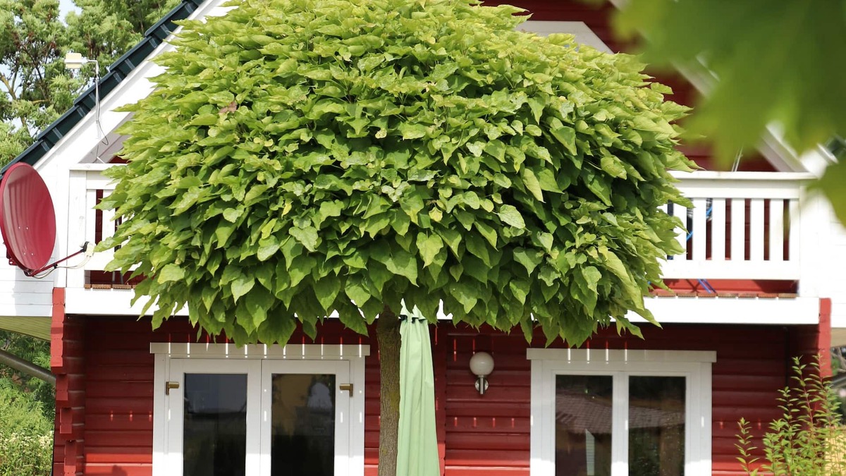 Oberdorla House | Charming vacation home, at the center of Germany for up to 8 guests.