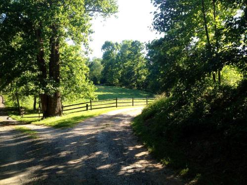 Afton House | Charming Vacation Rental in a Barn on a Horse Farm near Afton Mountain in Virginia