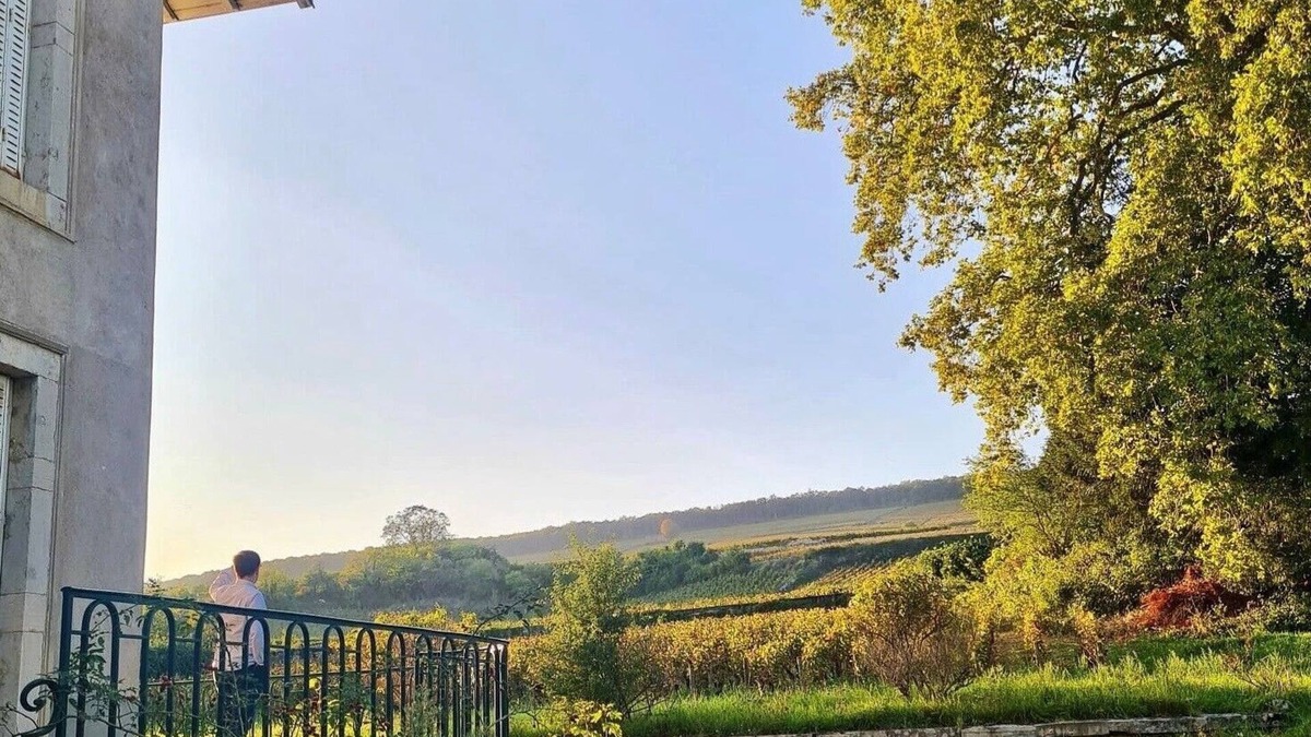 Ladoix-Serrigny House | Charming villa in the middle of the vineyards