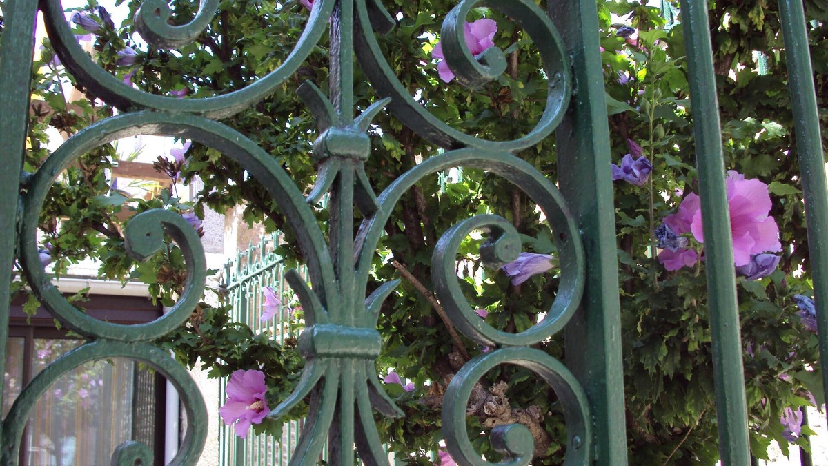Pouzols-Minervois House | Charming village house in the heart of the Minervois wine region
