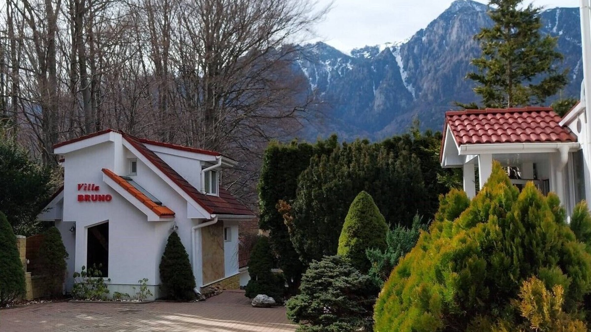 Busteni Villa | Charming villa with 1 bedroom and WiFi, AC in lovely Bușteni