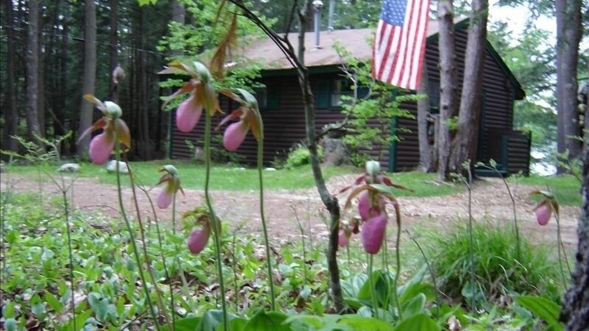 Freeport Cabin | Charming Waterfront Cabin in the Woods