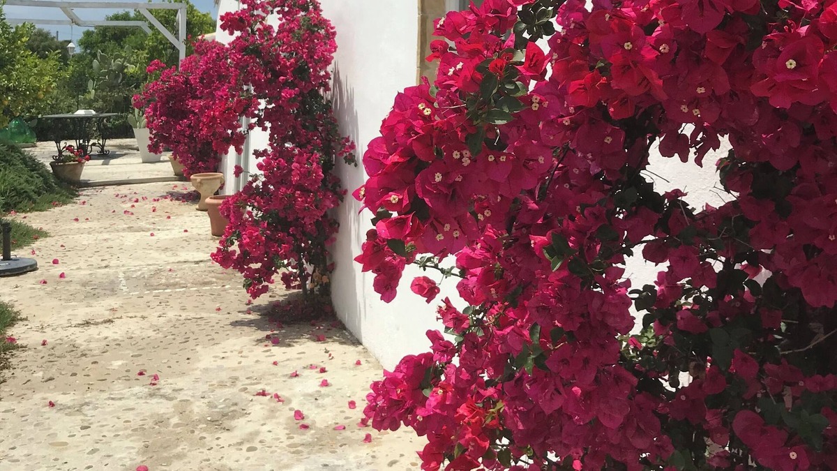 Pisticci House | Charming white washed southern italian farmhouse. Sleep 8- 4 bathrooms