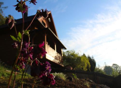 Jevicko House | Chata Johanka