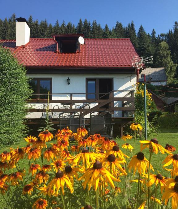 Lipno nad Vltavou Cabin | Chata Lipno