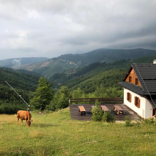 Oscadnica Ski Chalet | Chata Marguška - U Fera