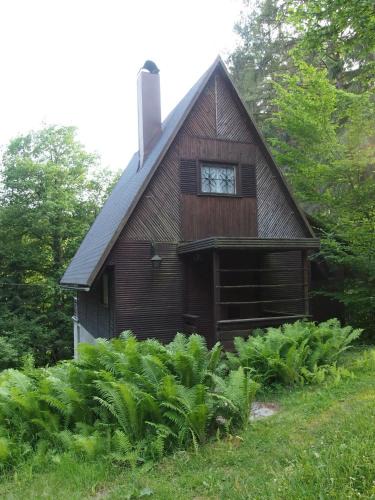 Cesky Dub Ski Chalet | chata Milena