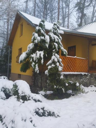 Kovacova Cabin | Chata nad kúpaliskom
