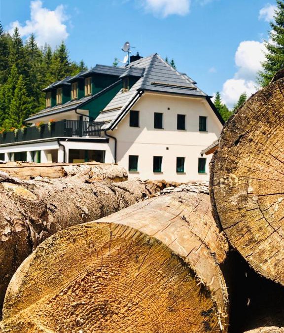 Nicov House | Chata pod Obřím hradem