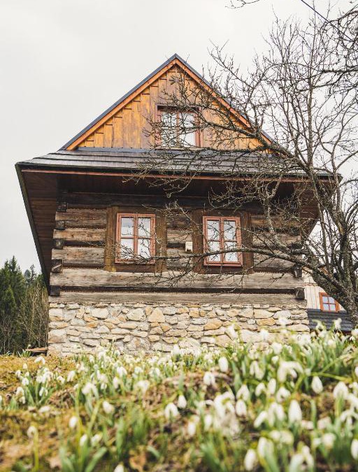 Terchova Cabin | Chata pod Rozsutcom