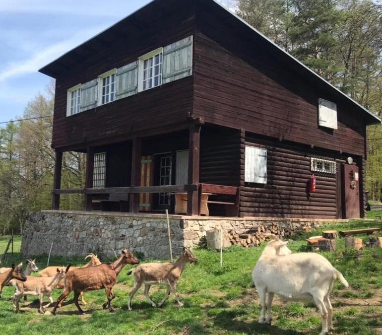 Beroun House | Chata s duší