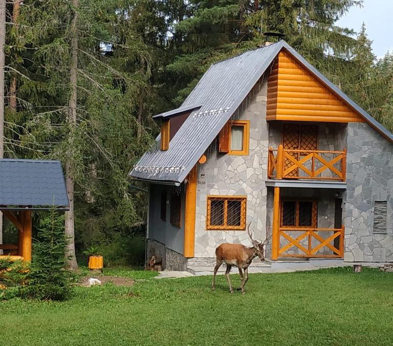 Tatranska Strba Ski Chalet | Chata Tatry