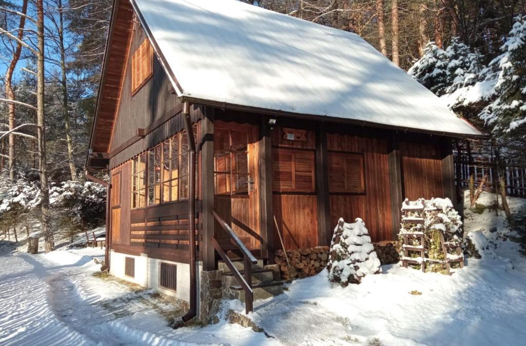 Jetrichovice House | Chata Všemily