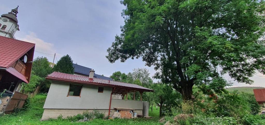 Myto pod Dumbierom House | Chata v záhrade