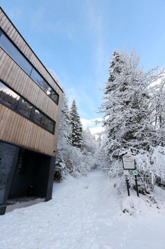 Horna Lehota House | Chata Zázvor