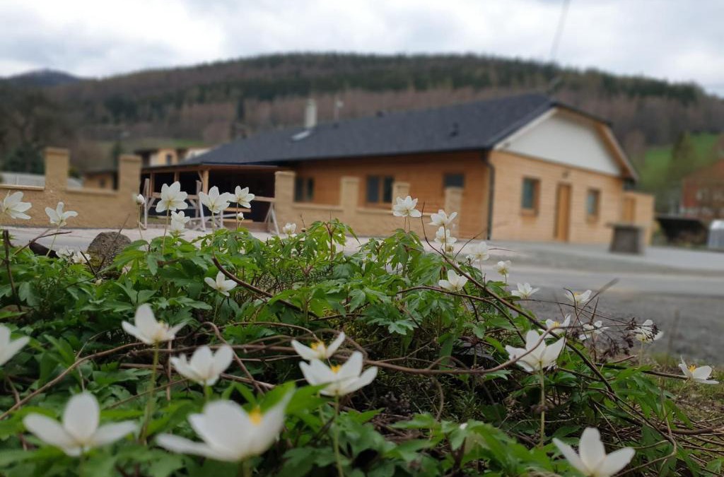 Lipova-Lazne House | ChataTrucovna, wellnes