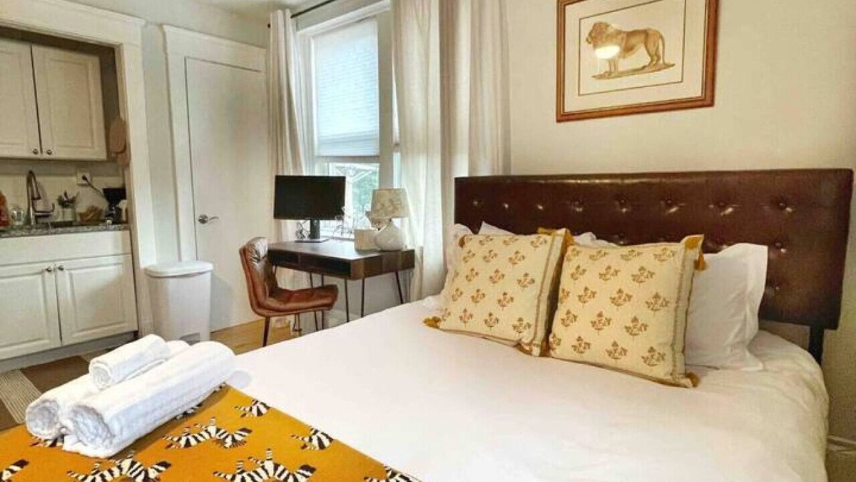Dwight Condo | Chateau Blanc Yale Located Downtown