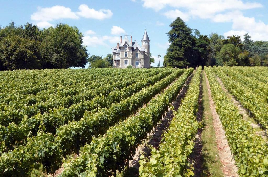 Moutiers-sur-le-Lay Bed & Breakfast | Chateau Breduriere