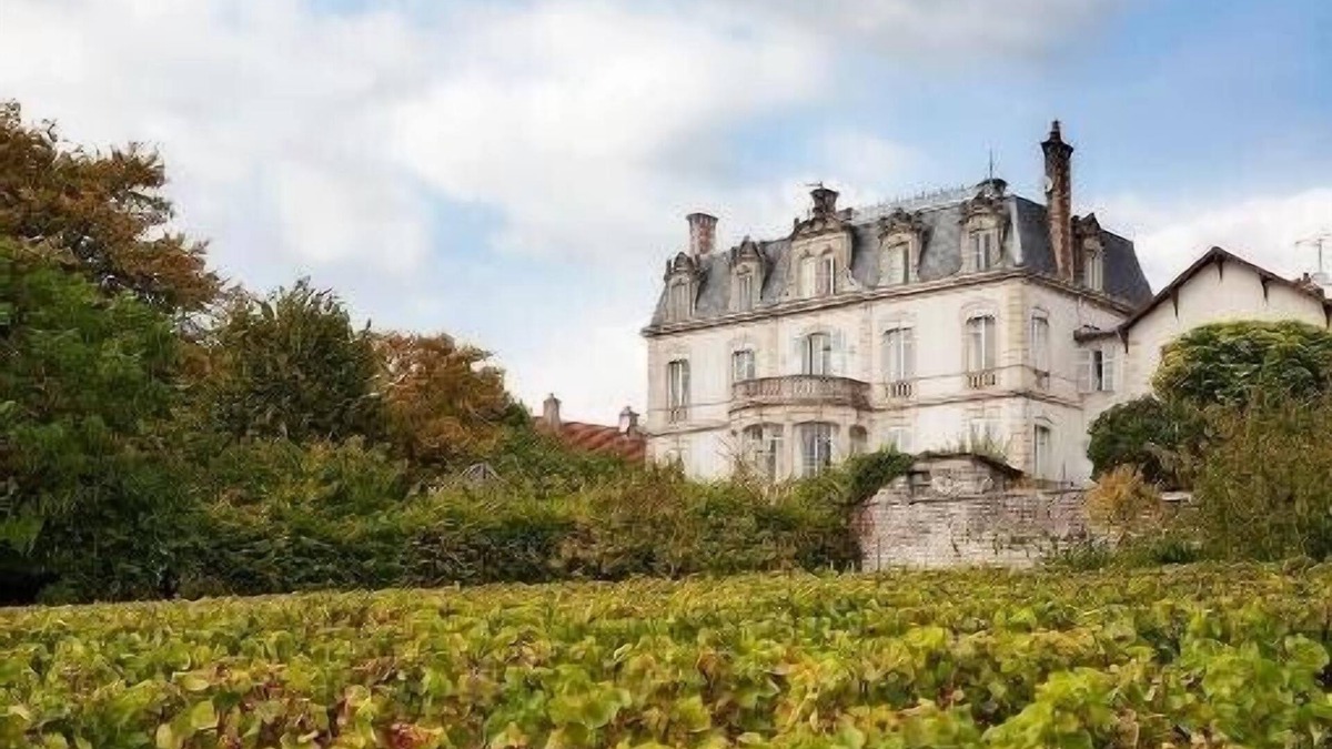Mercurey Other | Chateau de Mercurey. 8 luxury bedrooms with ensuite bathrooms. heated pool.