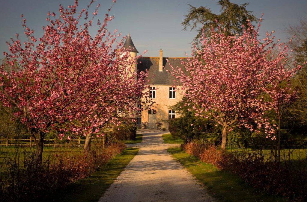 Monfreville House | CHATEAU DE MONFREVILLE