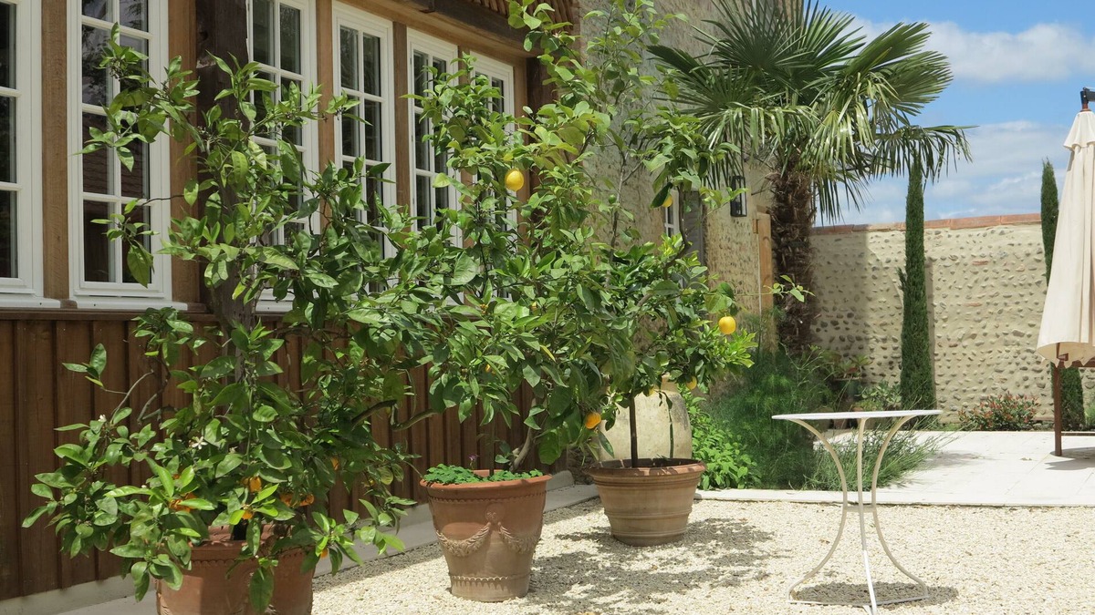 Borderes-et-Lamensans House | Chateau outbuilding, charm and refinement in the Adour valley
