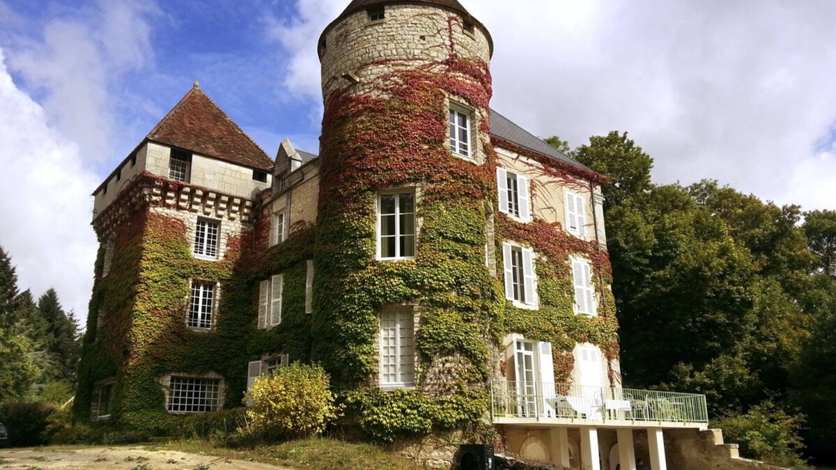 Le Blanc Other | Chateau Roussignol - Twelve Bedroom Castle, Sleeps 28