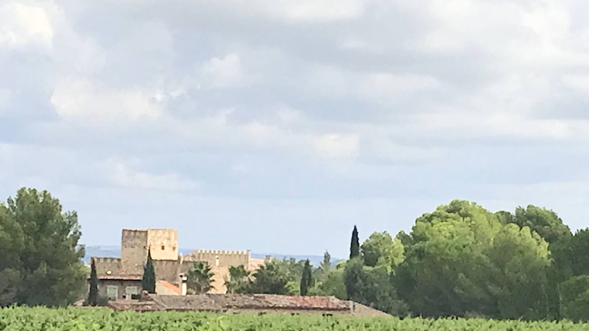 Cazouls-les-Beziers House | Chateau with swimming pool for 14 people in the middle of the vineyards