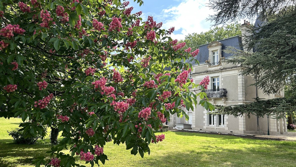 Bouresse Other | Chateau with heated pool, sauna near Poitiers and the vineyards of Chinon