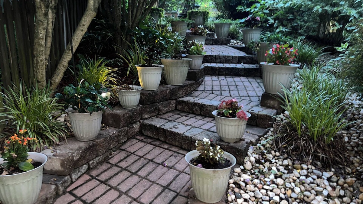 Waldorf House | Cheerful1 bedroom basement with separate entrance