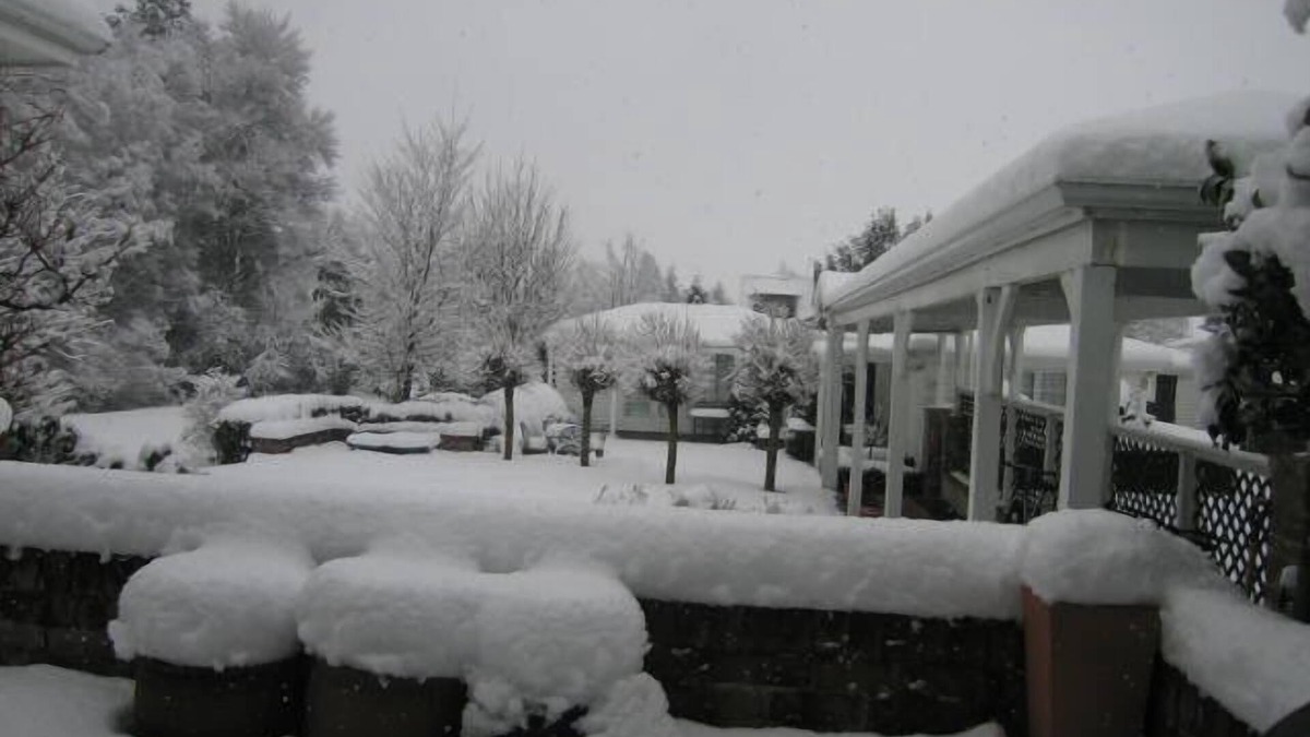 Hanmer Springs Bed & Breakfast | Cheltenham House