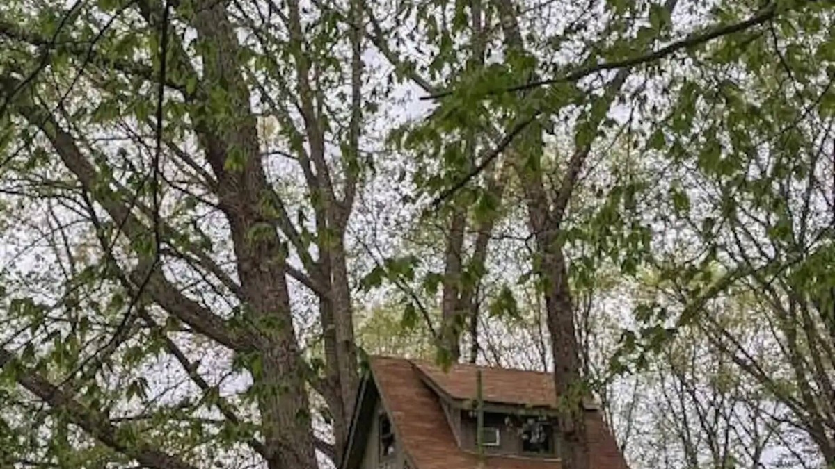 Millfield Cabin | Chestnut Ridge Tree House