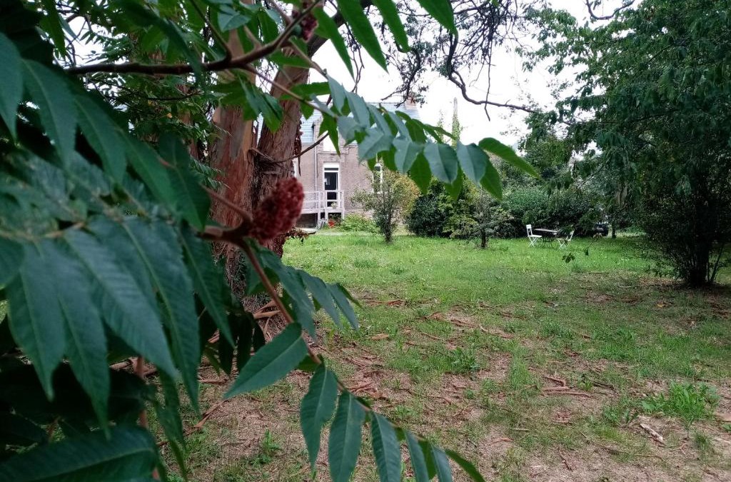 Peaule House | Chez Claudine